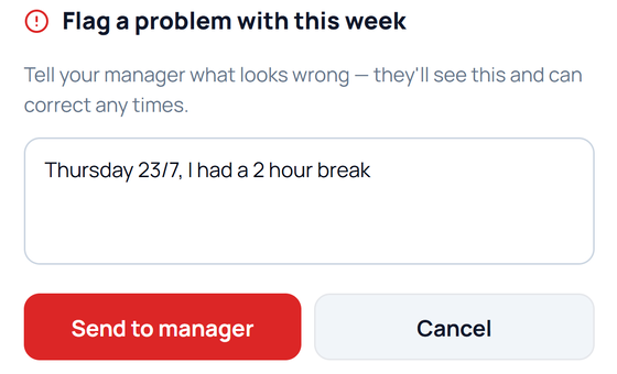 Flagging a timesheet problem in your own words.
